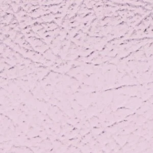 Aaraliaa - Image 4