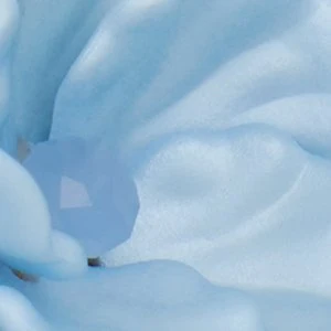 Aelina - Image 3