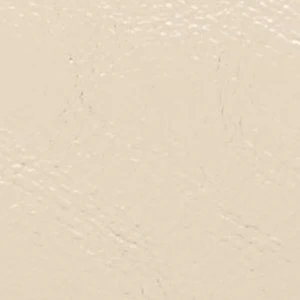 Aellaax - Image 5