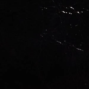 Alicieex - Image 7