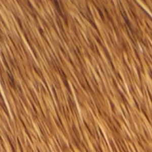 Ankea - Image 7