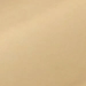 Attatched - Image 2