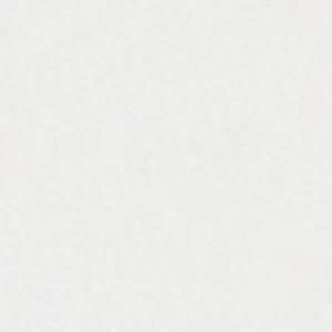 Bearbelle - Image 3