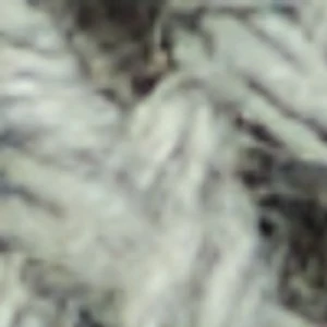 Ccoastbreeze - Image 9