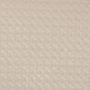 Clementinne - Image 7