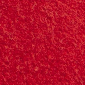 Coolchic - Image 9