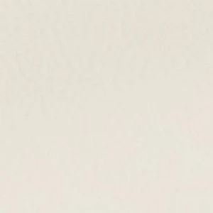Daisylily - Image 9