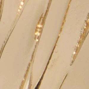 Dazira - Image 3