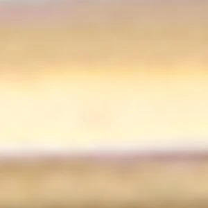 Diggy - Image 3