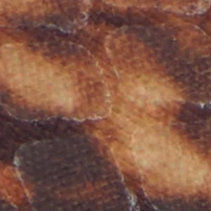 Esmara - Image 3