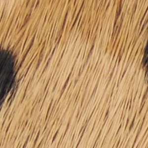 Esmara - Image 3