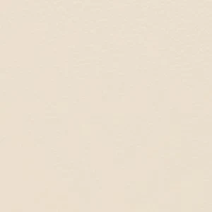 Evielily - Image 5