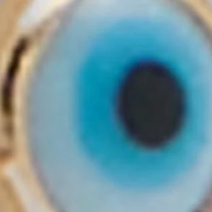 Evira - Image 2