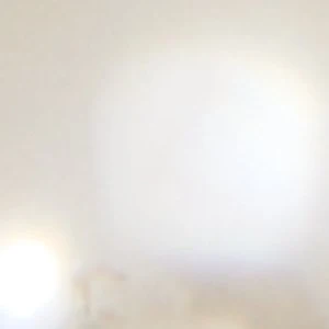 Flowerclip - Image 3