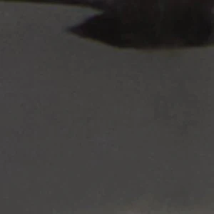 Freyyaa - Image 3