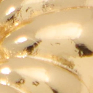 Goby - Image 3