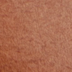 Gwajar - Image 8