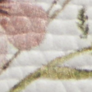 Krishelle - Image 7
