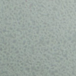 Livianna - Image 7