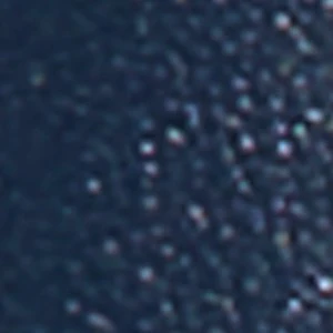 Palmera - Image 5
