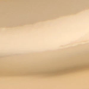 Peamethmini - Image 3