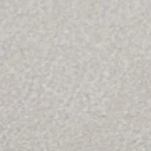 Pedro - Image 8