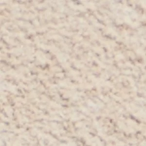 Ringo - Image 8