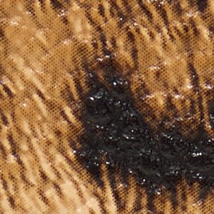Samma - Image 4