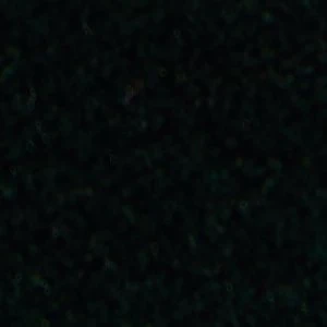 Samuel - Image 9