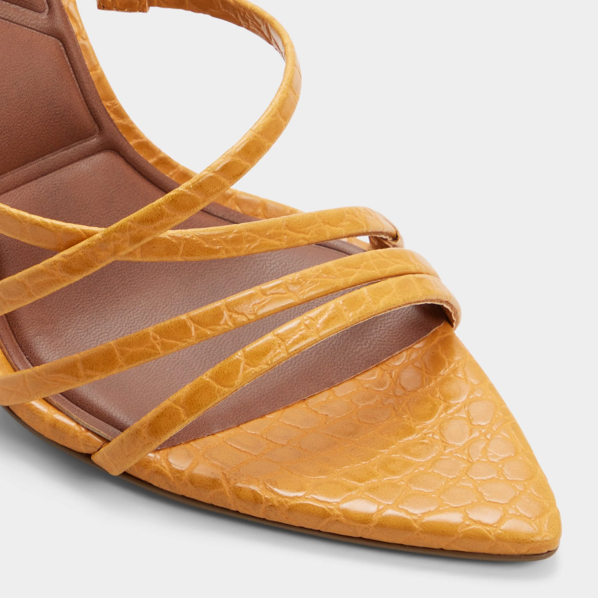 Solania - Image 5