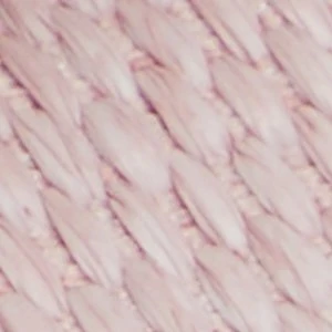 Wavysally - Image 8