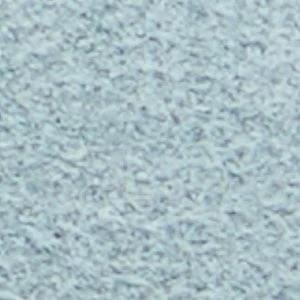 Whirl - Image 8