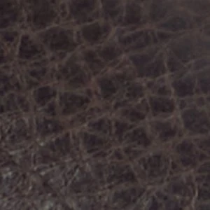 Zappa - Image 8